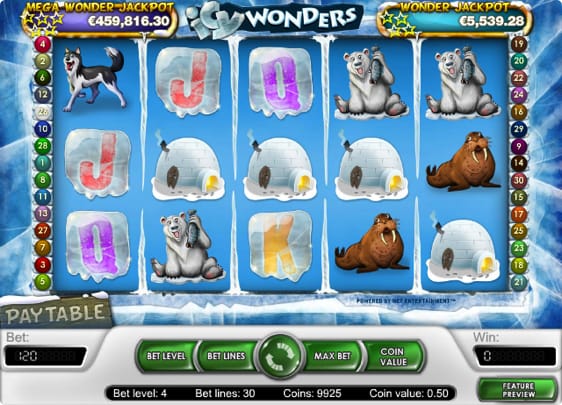 Icy Wonders spillemaskine