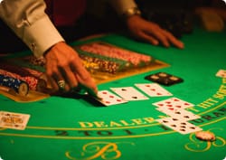 Gambling: Spil dig igennem Universitetet