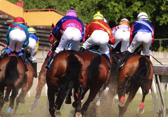 Hestevæddeløb – odds og tips til spil hos danske bookmakere