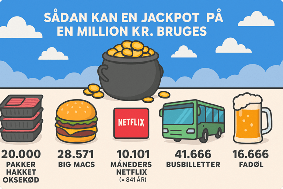 Det kan du få for en million kr